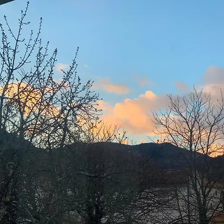 Albizia * Vernet-les-Bains